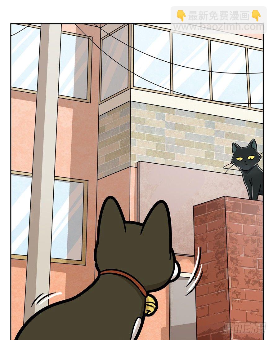 《回到过去变成猫外传》第69爪 抗拒从严 第11页