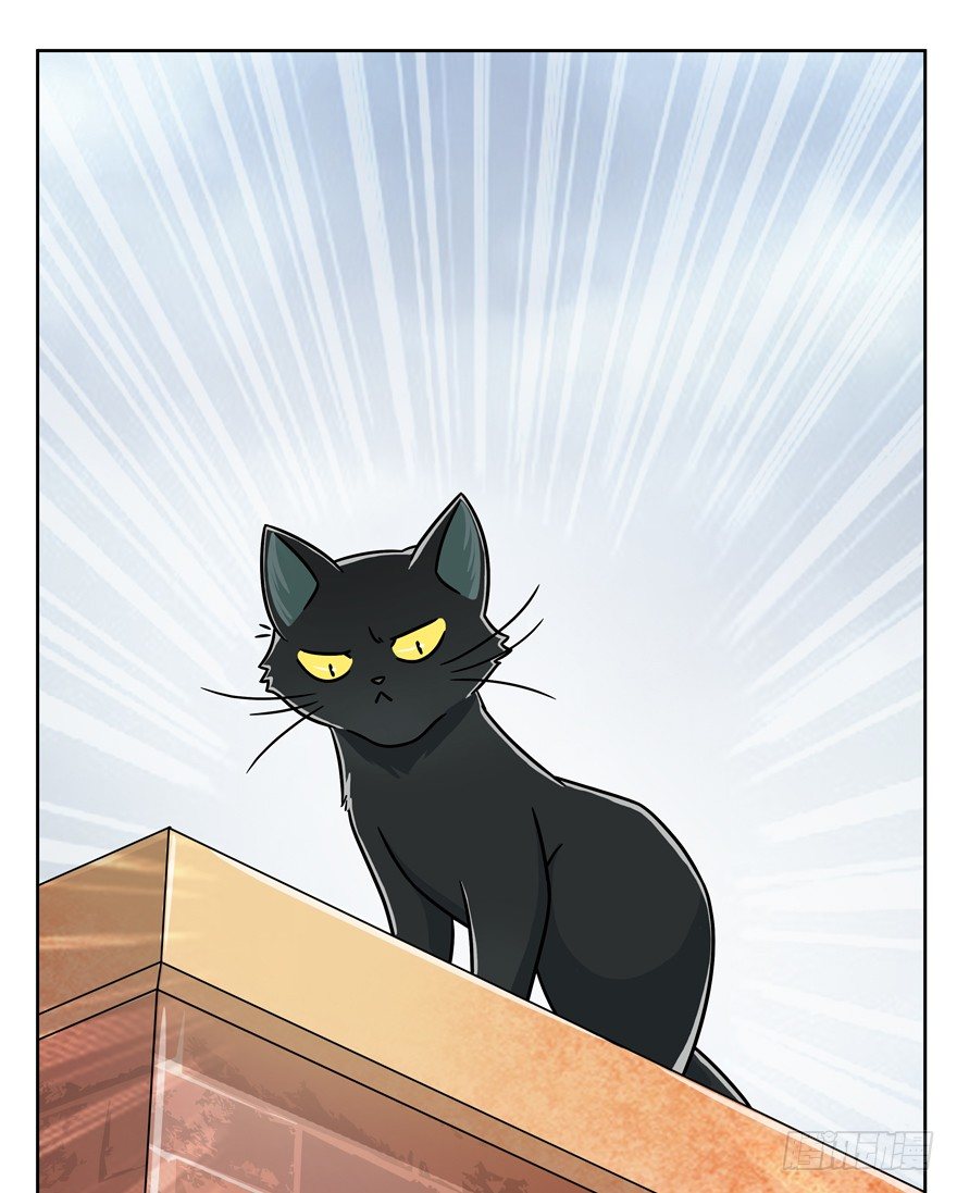 《回到过去变成猫外传》第69爪 抗拒从严 第13页