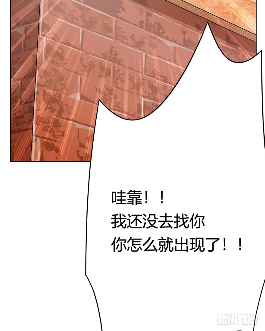 《回到过去变成猫外传》第69爪 抗拒从严 第14页