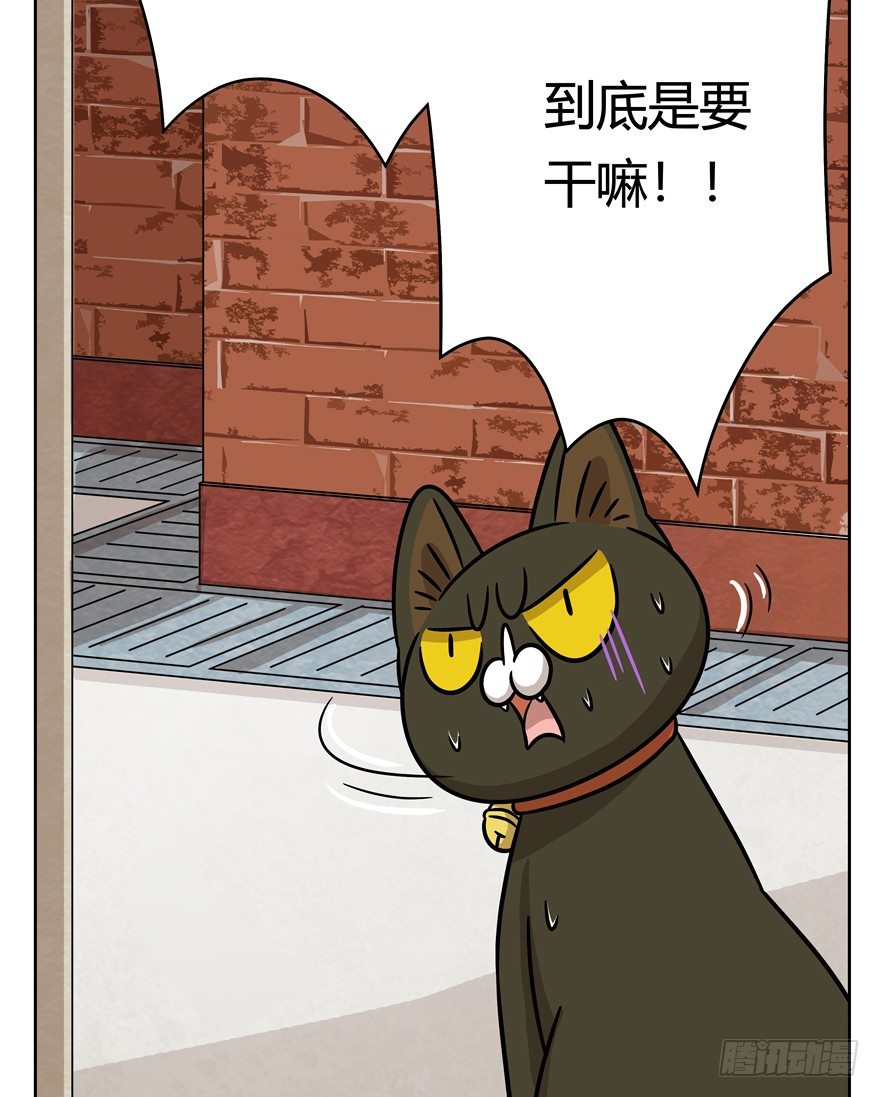 《回到过去变成猫外传》第69爪 抗拒从严 第18页