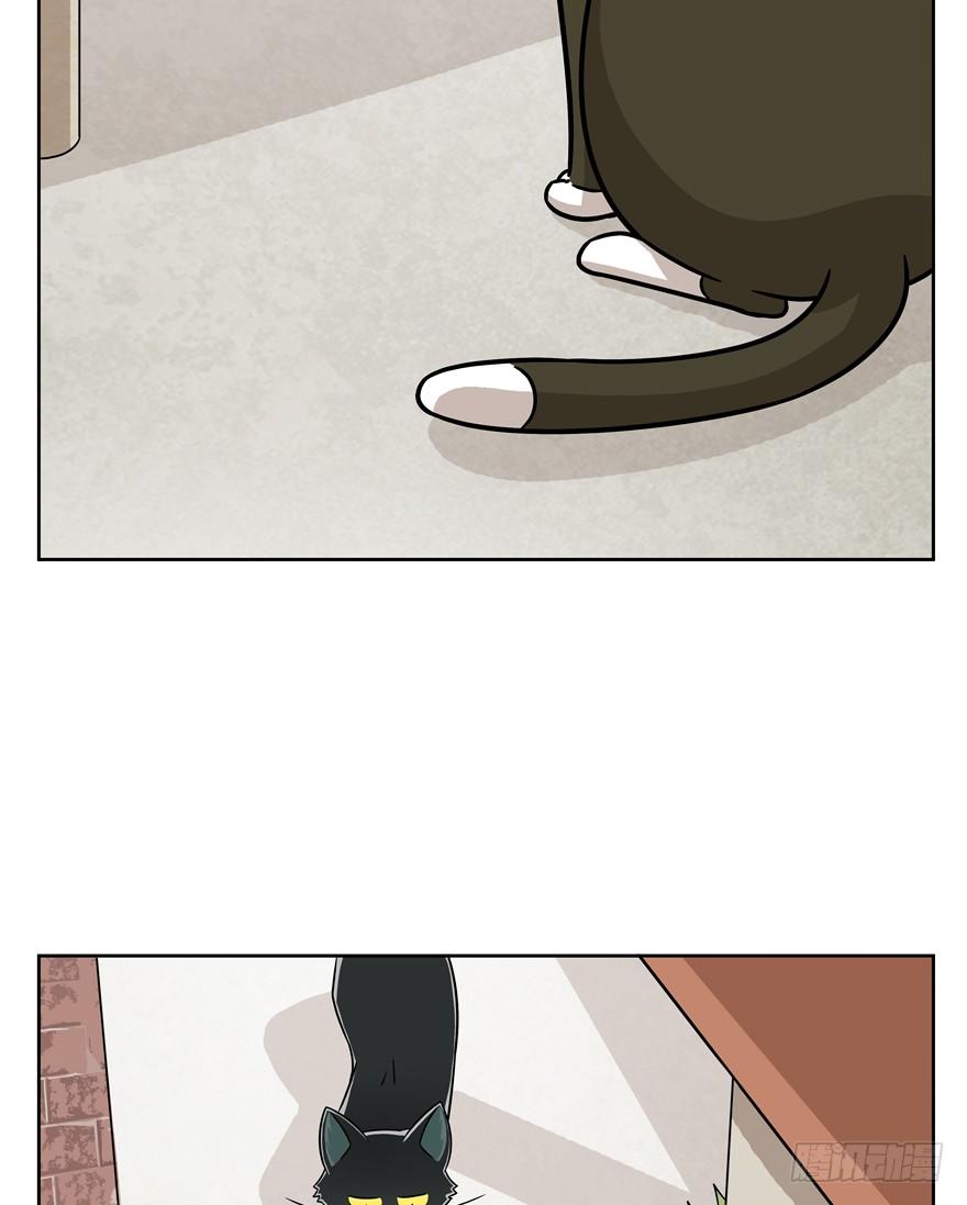 《回到过去变成猫外传》第69爪 抗拒从严 第19页