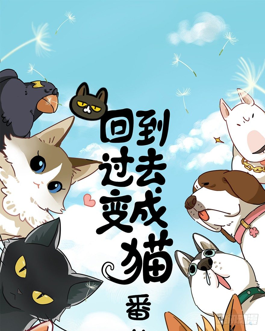 《回到过去变成猫外传》第69爪 抗拒从严 第1页