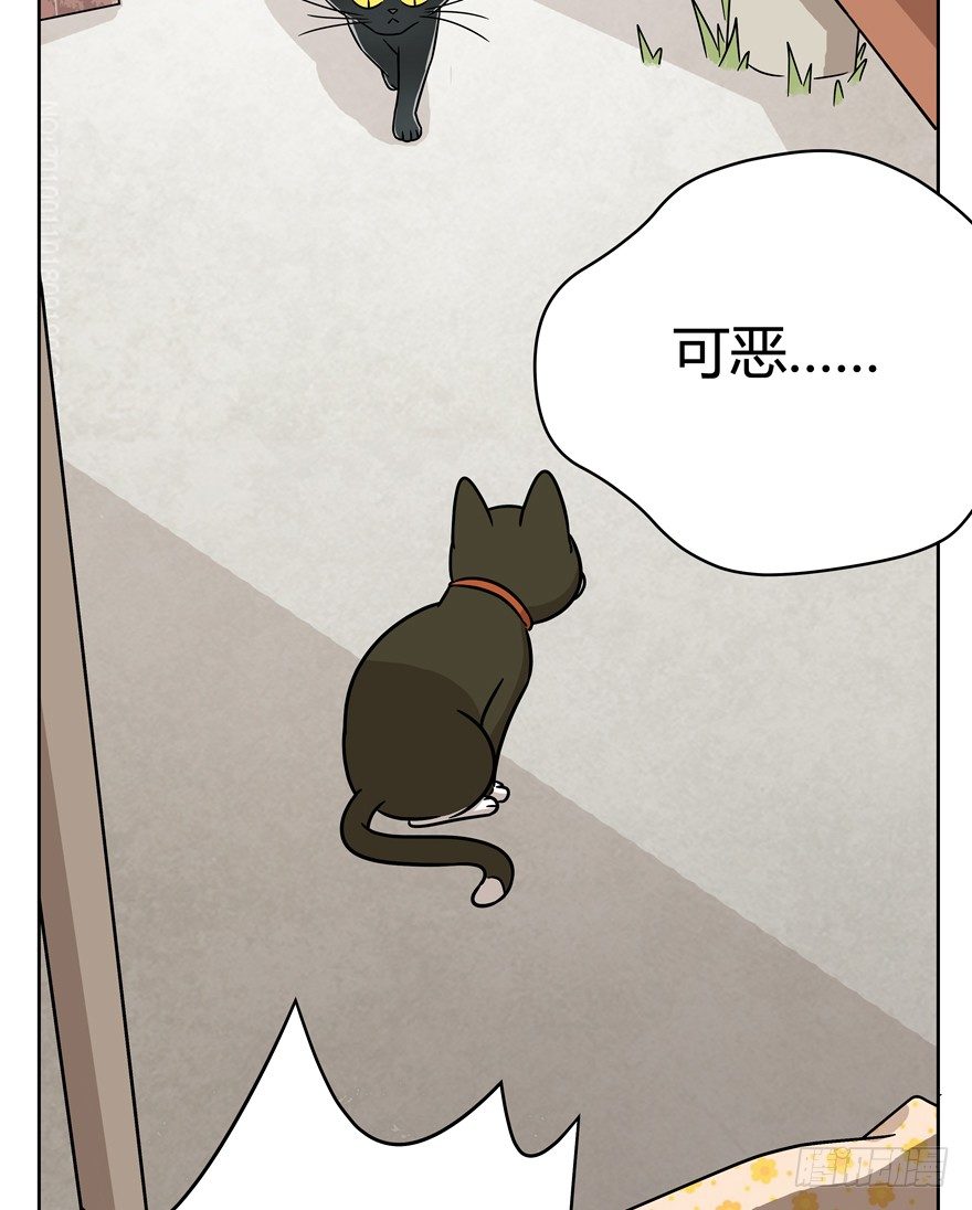 《回到过去变成猫外传》第69爪 抗拒从严 第20页