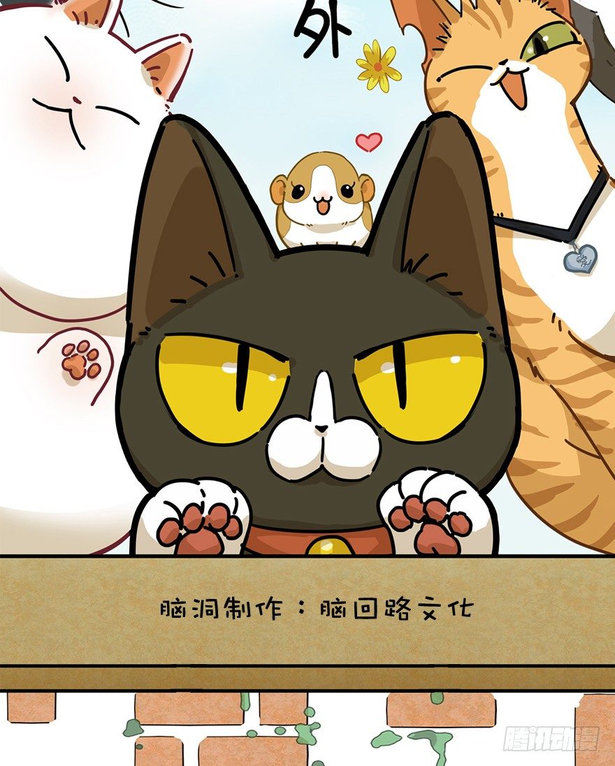 《回到过去变成猫外传》第69爪 抗拒从严 第2页