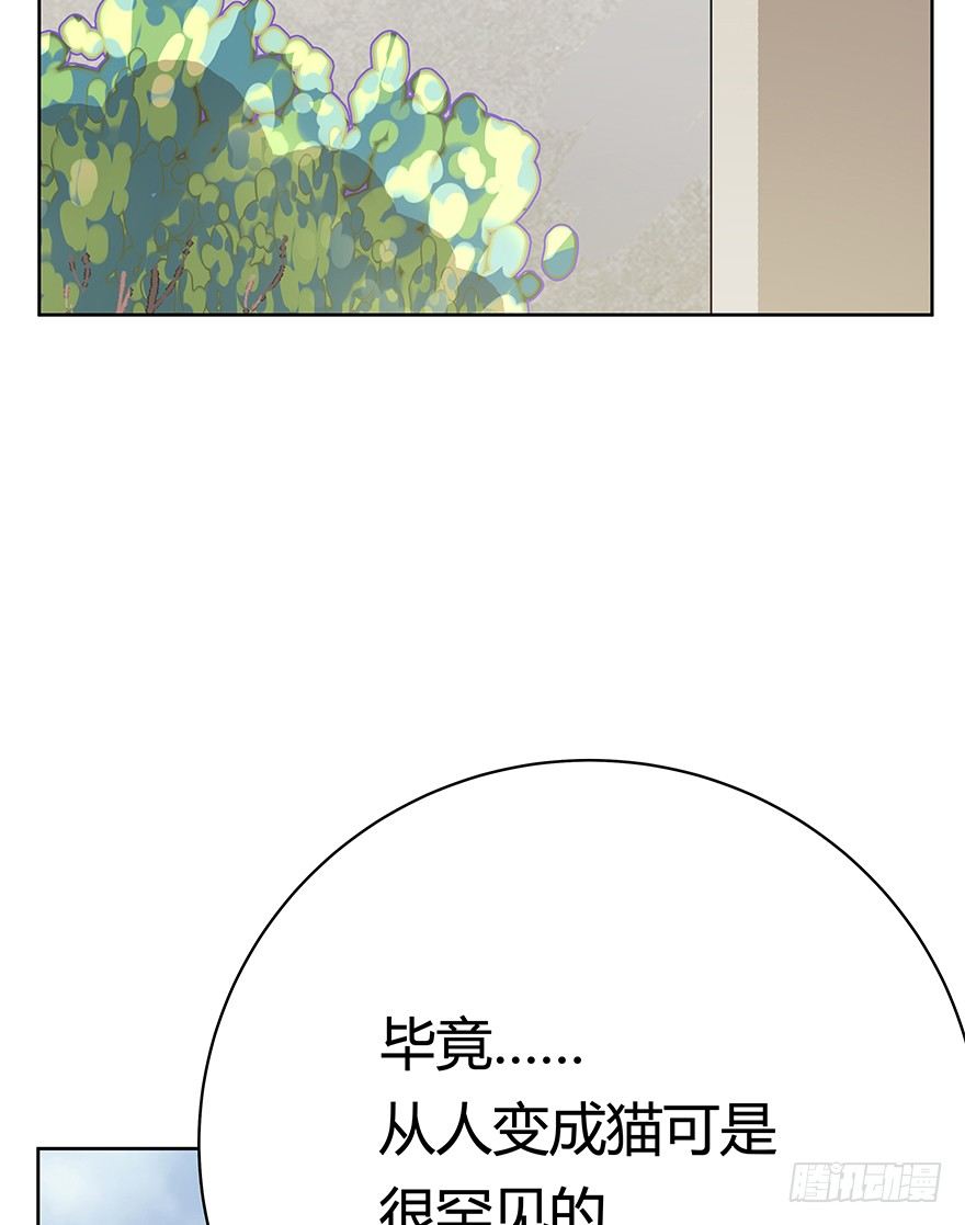 《回到过去变成猫外传》第69爪 抗拒从严 第30页