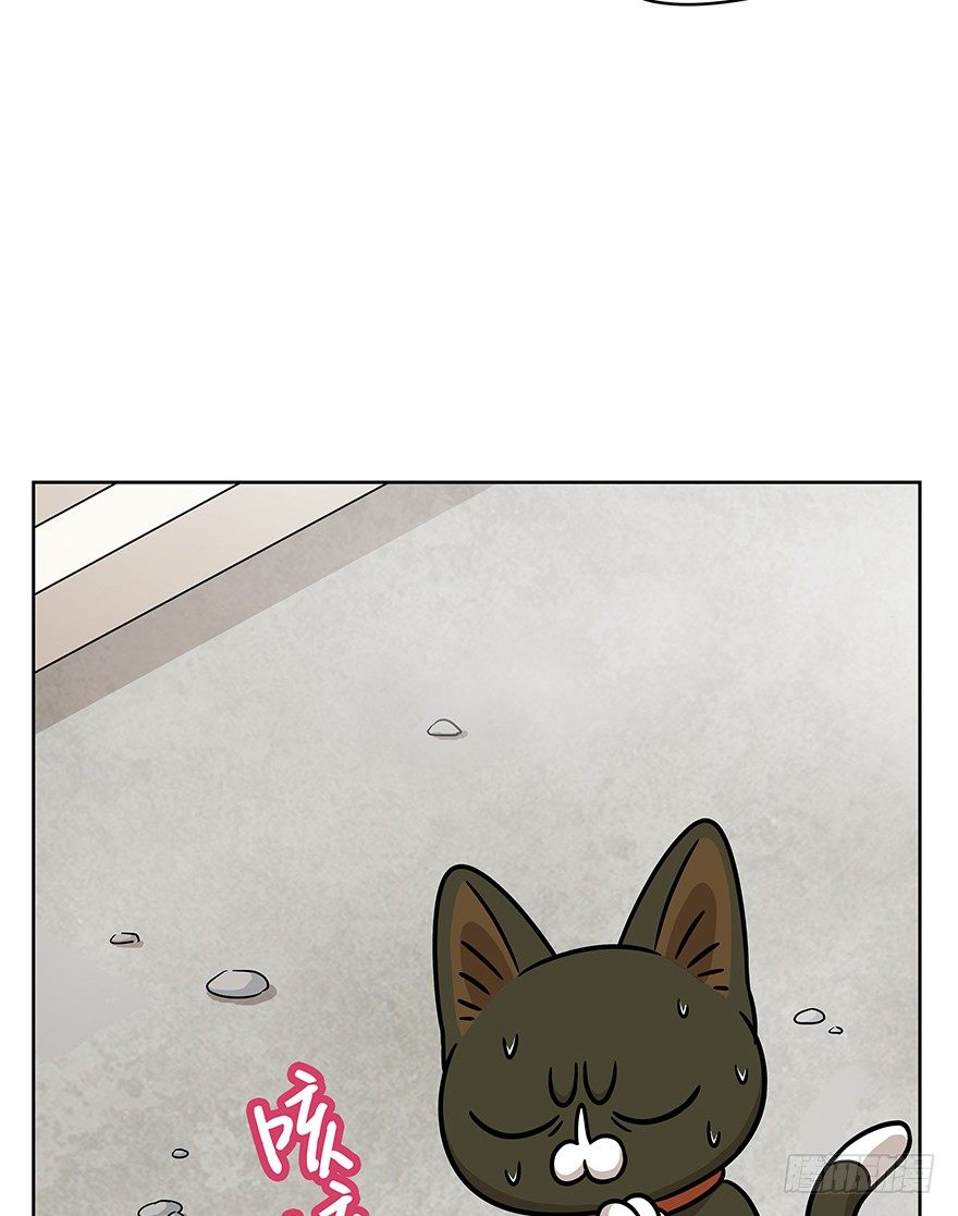 《回到过去变成猫外传》第69爪 抗拒从严 第38页