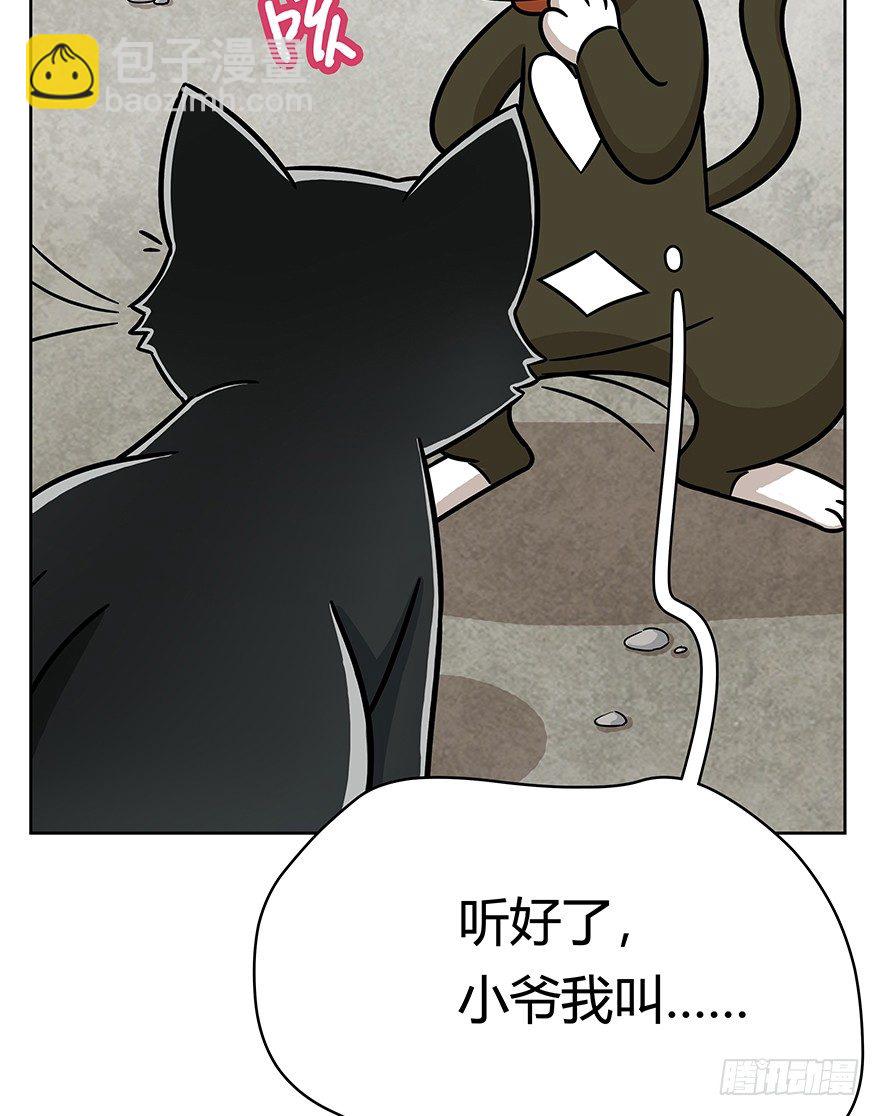 《回到过去变成猫外传》第69爪 抗拒从严 第39页