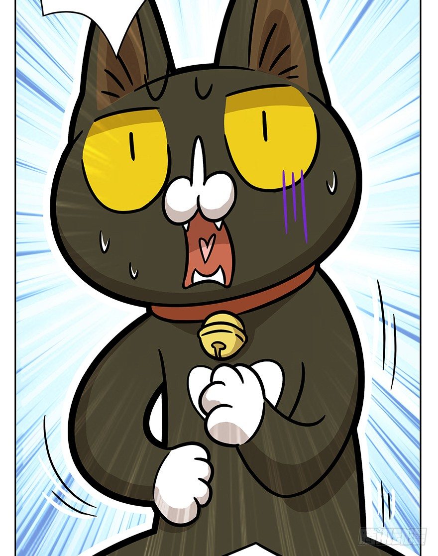 《回到过去变成猫外传》第69爪 抗拒从严 第41页