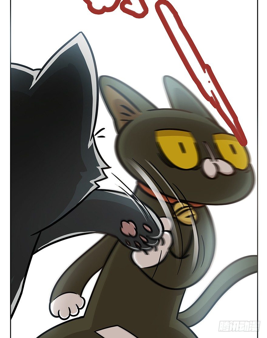 《回到过去变成猫外传》第69爪 抗拒从严 第43页