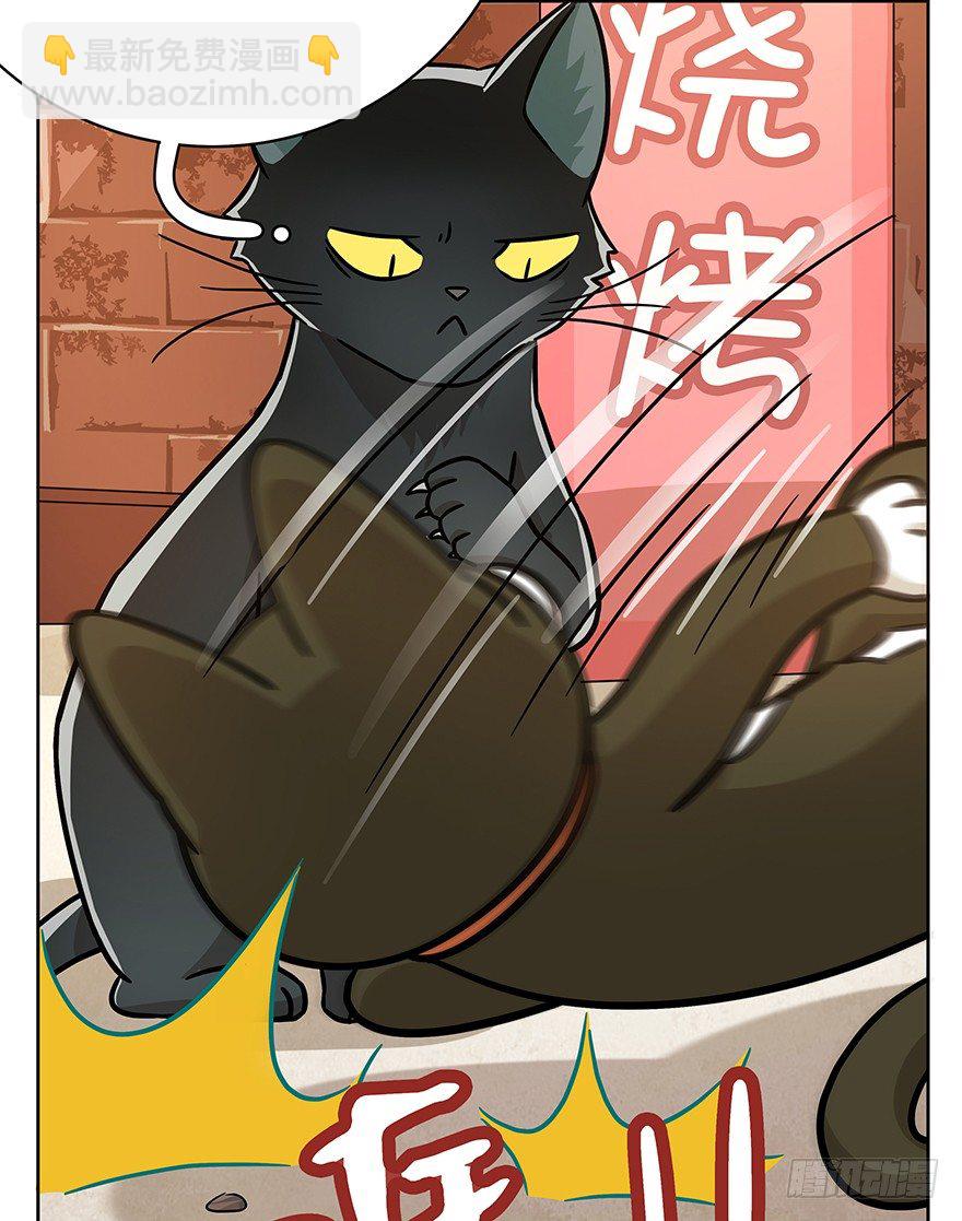 《回到过去变成猫外传》第69爪 抗拒从严 第45页