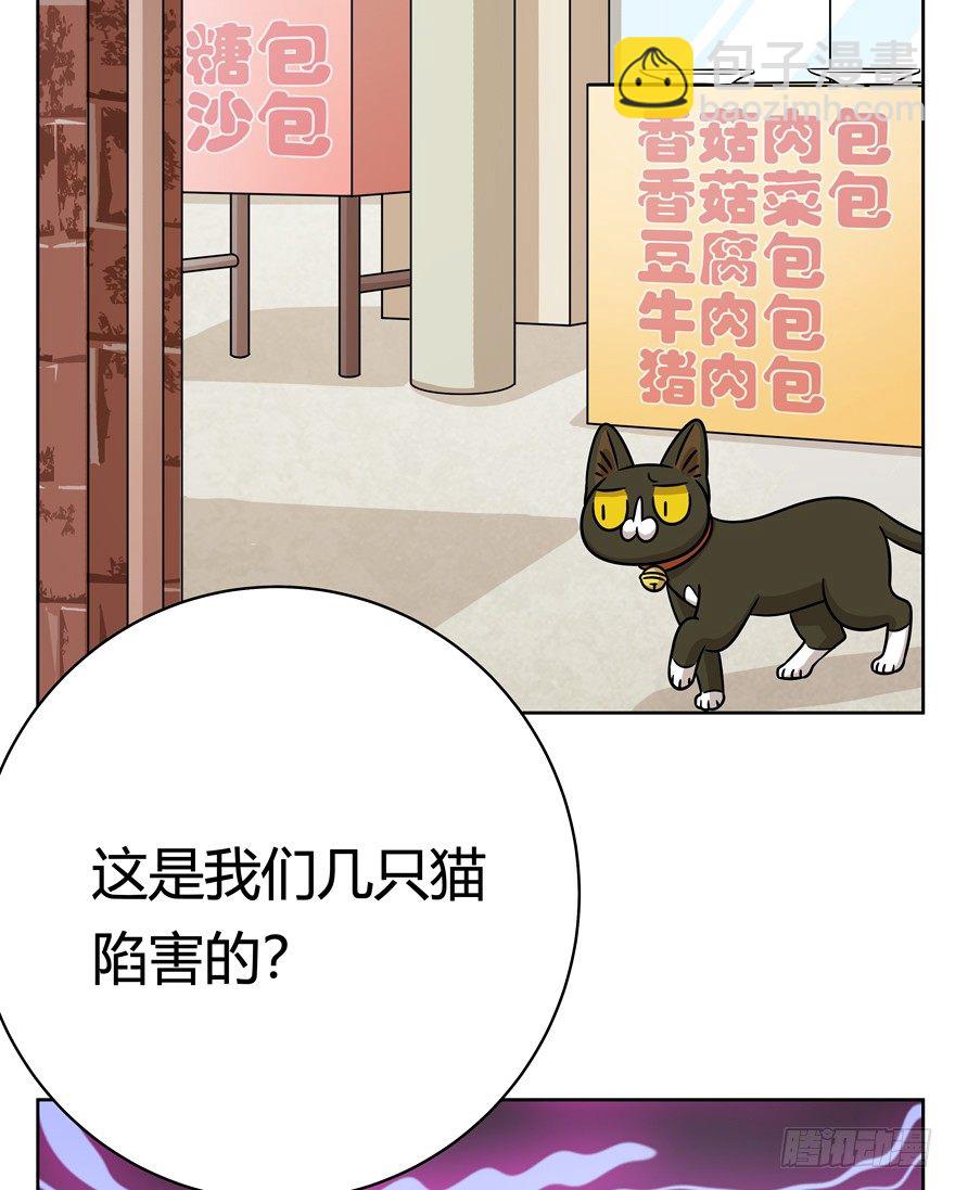 《回到过去变成猫外传》第69爪 抗拒从严 第5页