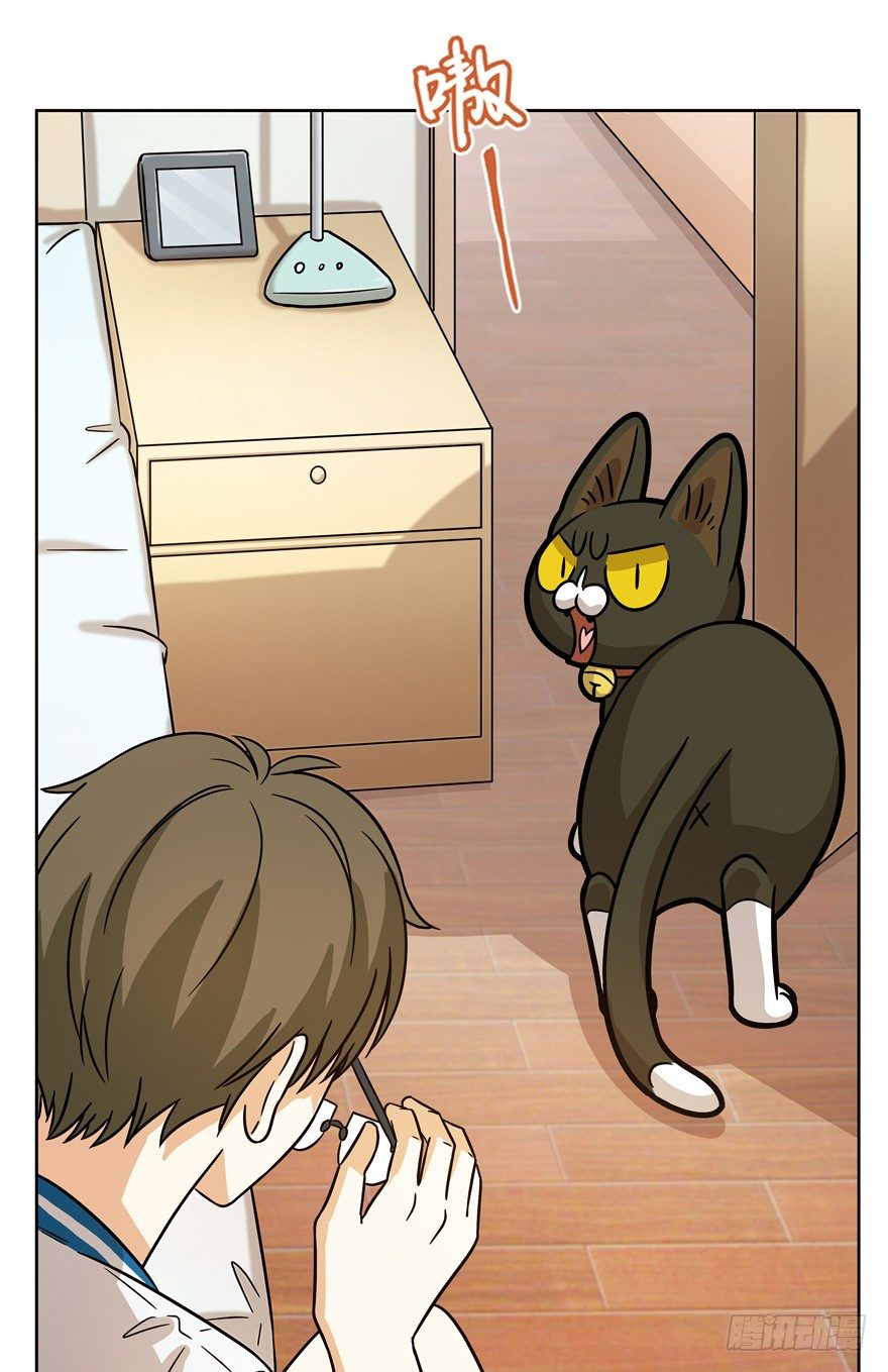 《回到过去变成猫外传》第67爪 “和平”协议（上） 第20页