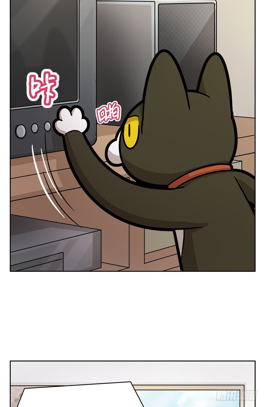 《回到过去变成猫外传》第67爪 “和平”协议（上） 第22页