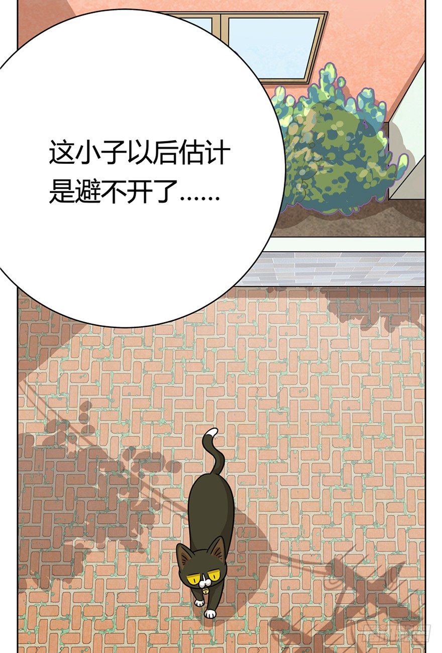 《回到过去变成猫外传》第68爪 “和平”协议（下） 第27页