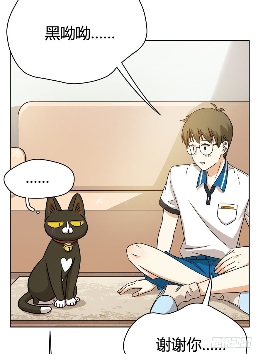 《回到过去变成猫外传》第68爪 “和平”协议（下） 第4页