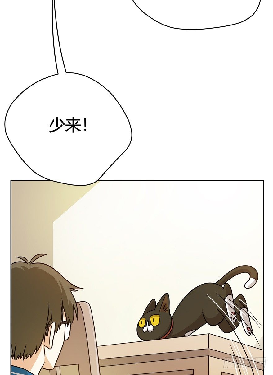 《回到过去变成猫外传》第68爪 “和平”协议（下） 第5页