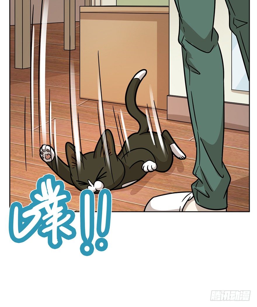《回到过去变成猫外传》第71爪 “小天使”焦爸（下） 第17页