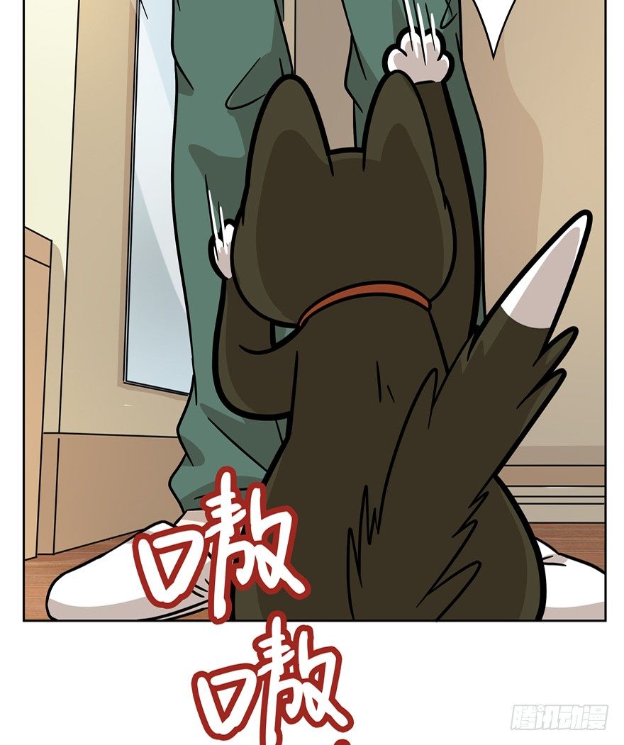 《回到过去变成猫外传》第71爪 “小天使”焦爸（下） 第19页