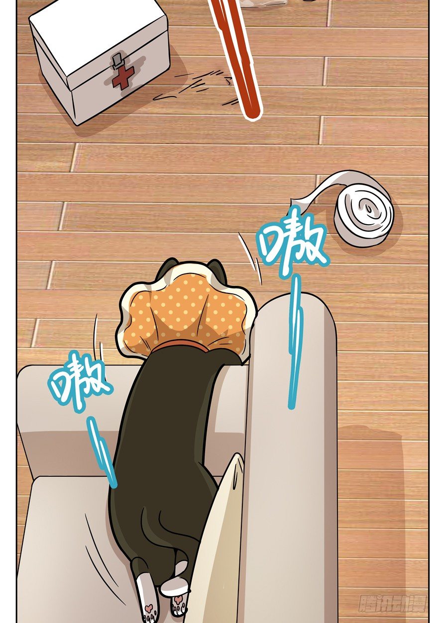 《回到过去变成猫外传》第71爪 “小天使”焦爸（下） 第37页