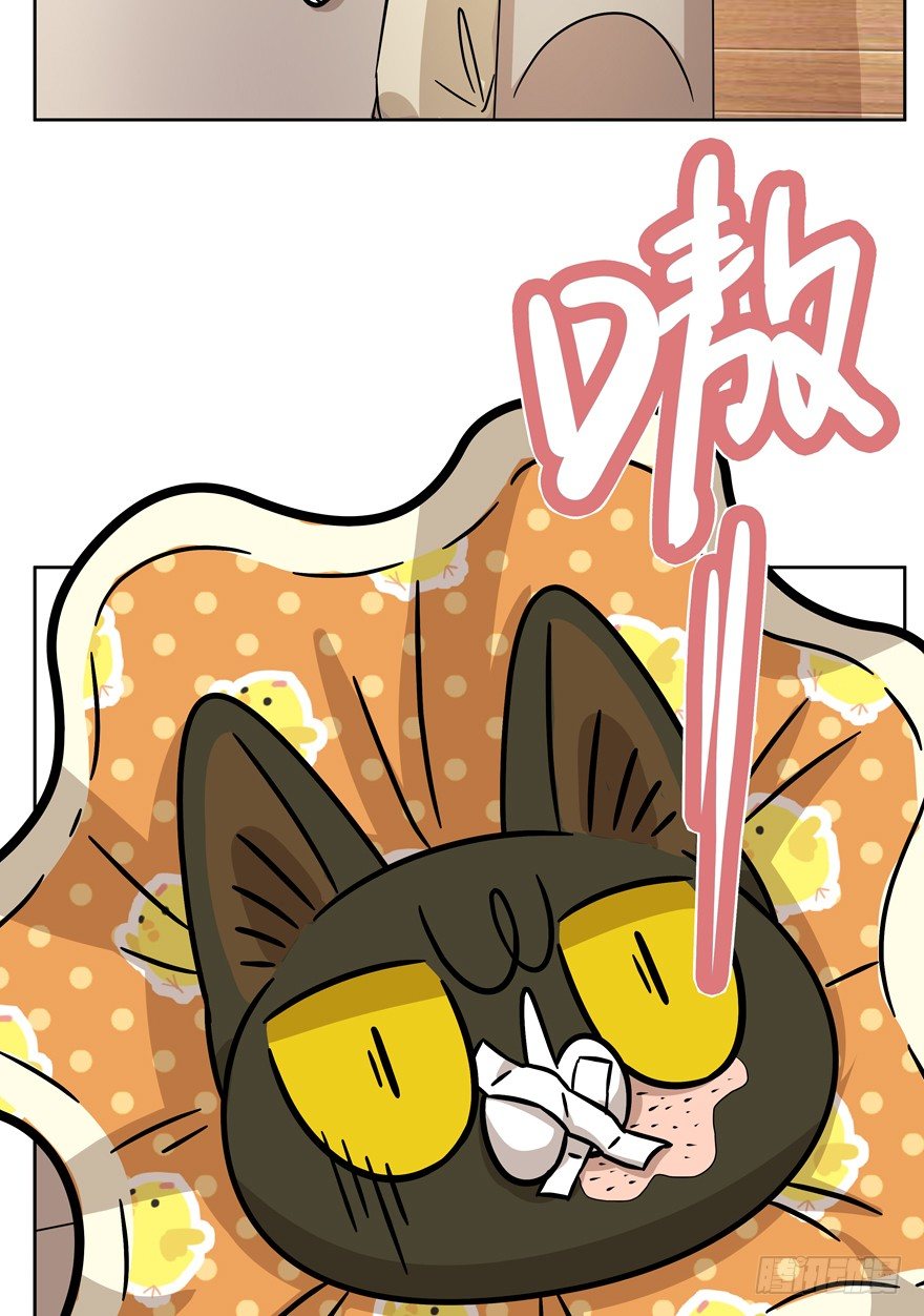 《回到过去变成猫外传》第71爪 “小天使”焦爸（下） 第38页