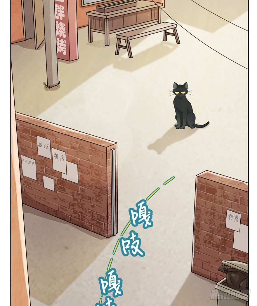 《回到过去变成猫外传》第71爪 “小天使”焦爸（下） 第5页