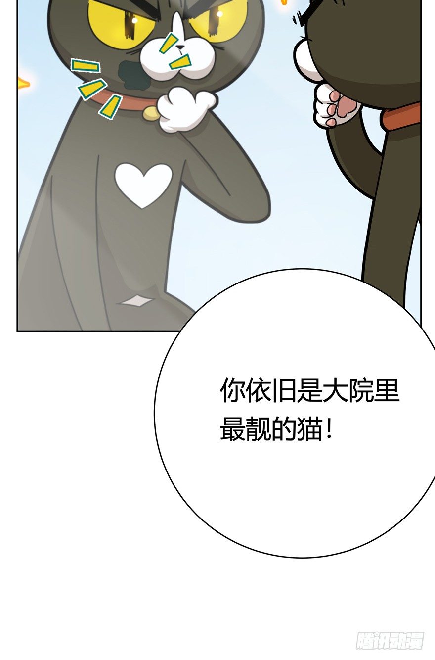 《回到过去变成猫外传》第72爪 我才是郑叹（上） 第11页