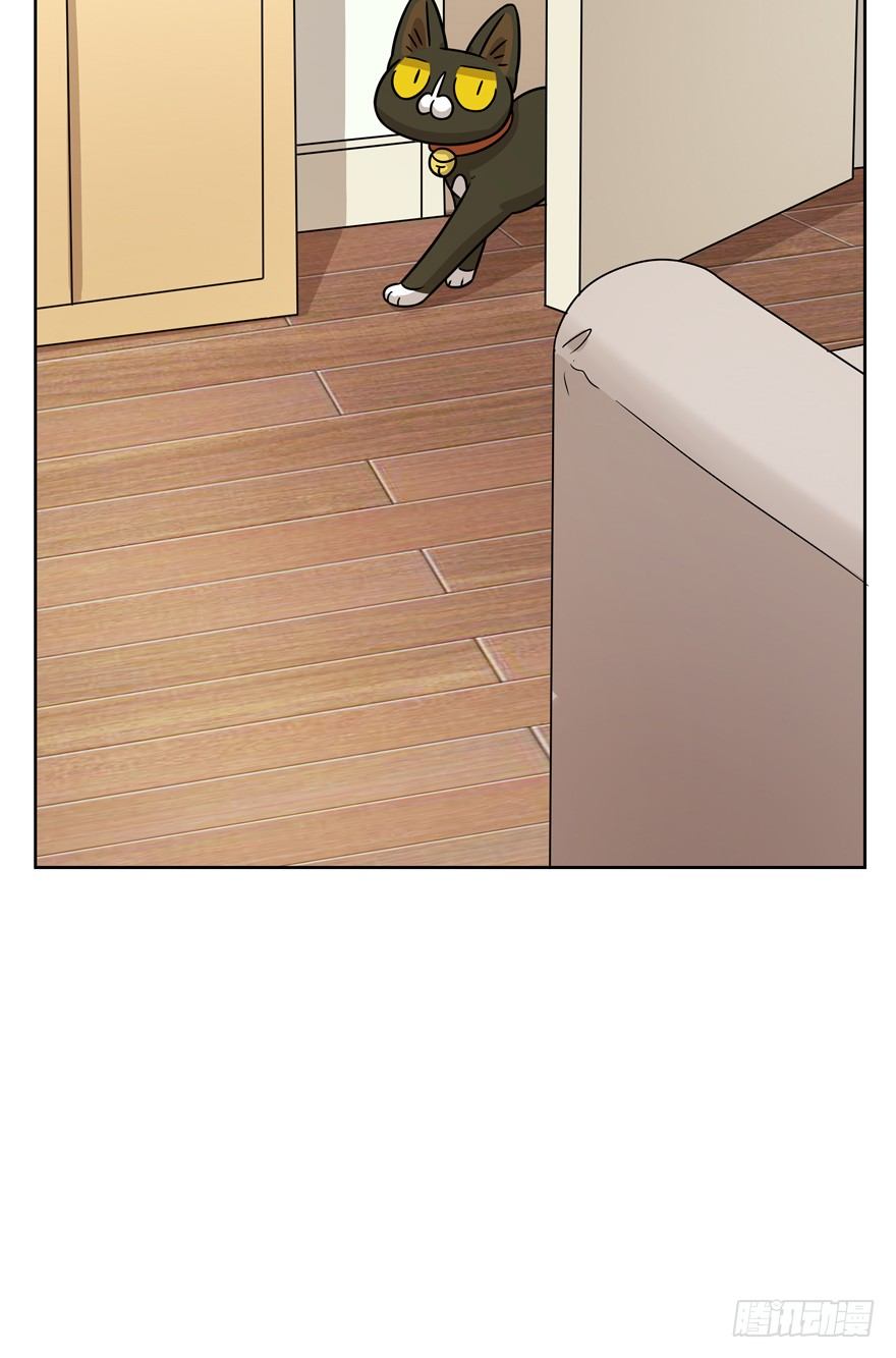 《回到过去变成猫外传》第72爪 我才是郑叹（上） 第15页