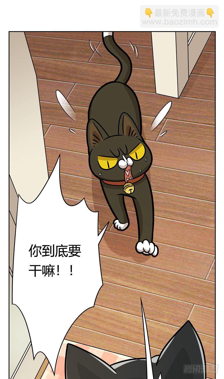 《回到过去变成猫外传》第72爪 我才是郑叹（上） 第27页