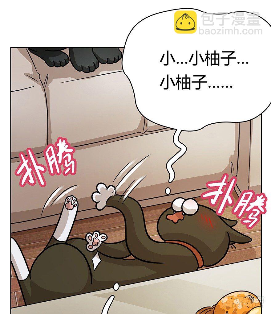 《回到过去变成猫外传》第74爪 身份之谜 第11页