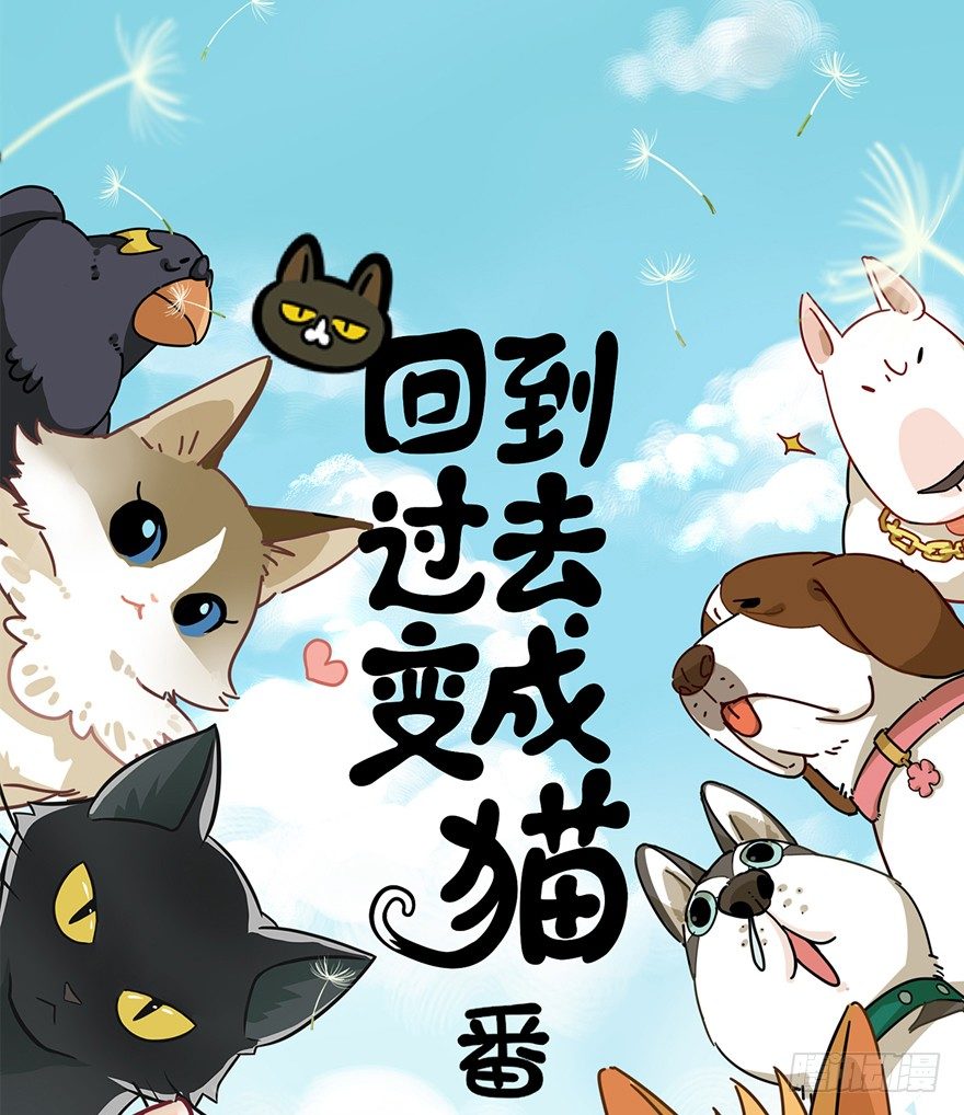 《回到过去变成猫外传》第74爪 身份之谜 第1页