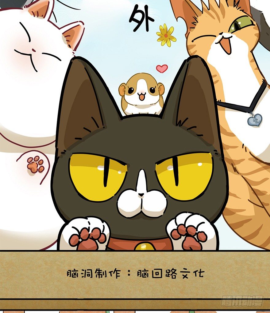 《回到过去变成猫外传》第74爪 身份之谜 第2页