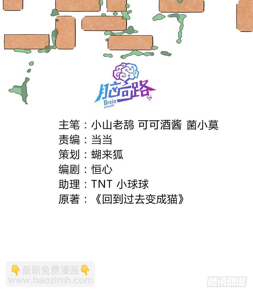 《回到过去变成猫外传》第74爪 身份之谜 第3页