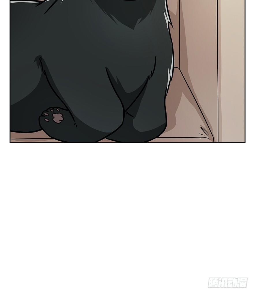 《回到过去变成猫外传》第74爪 身份之谜 第5页