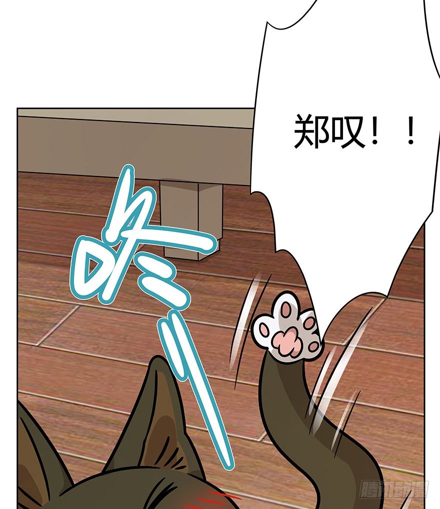 《回到过去变成猫外传》第74爪 身份之谜 第9页