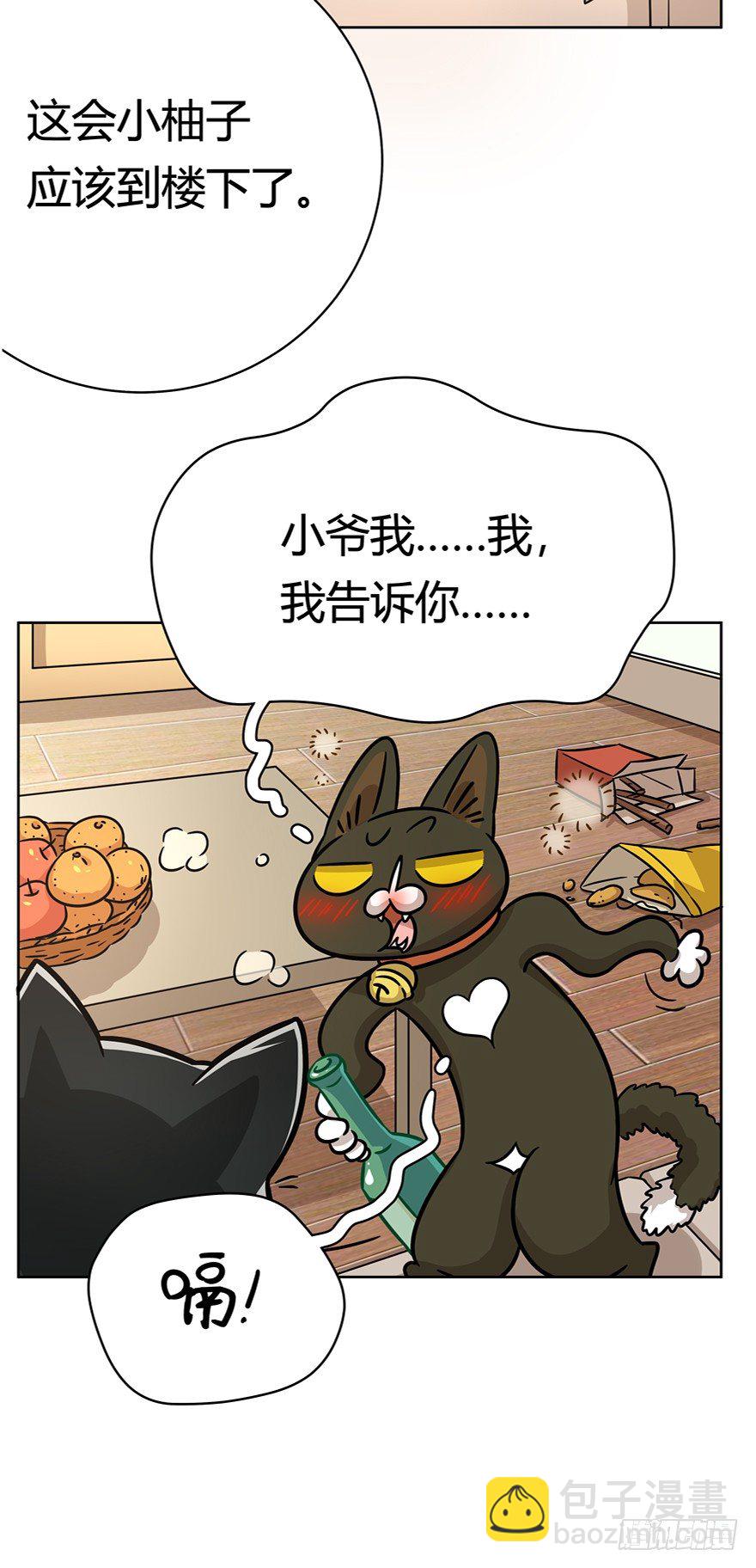 《回到过去变成猫外传》第73爪 我才是郑叹（下） 第14页