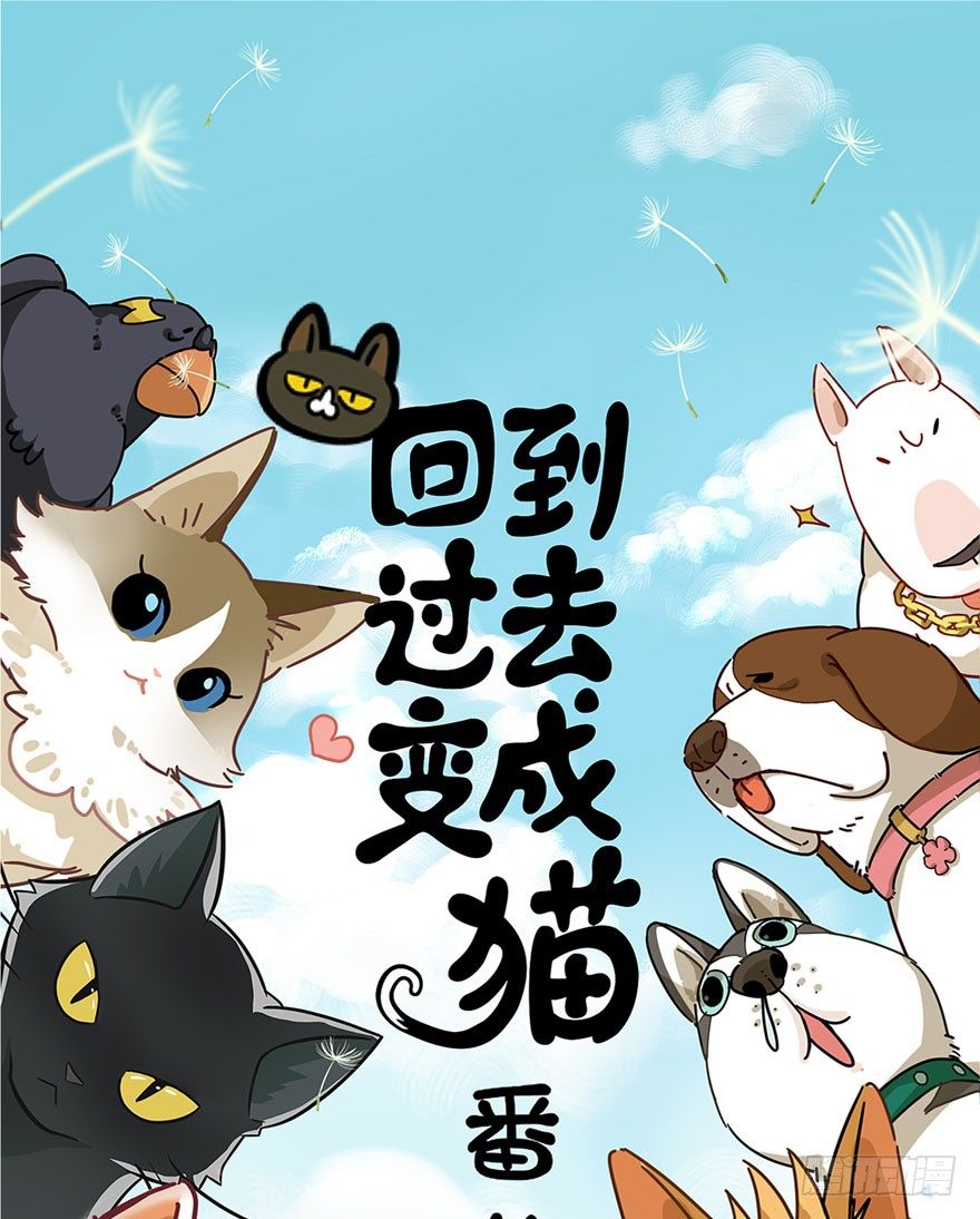 《回到过去变成猫外传》第75爪 26岁那年（上） 第1页