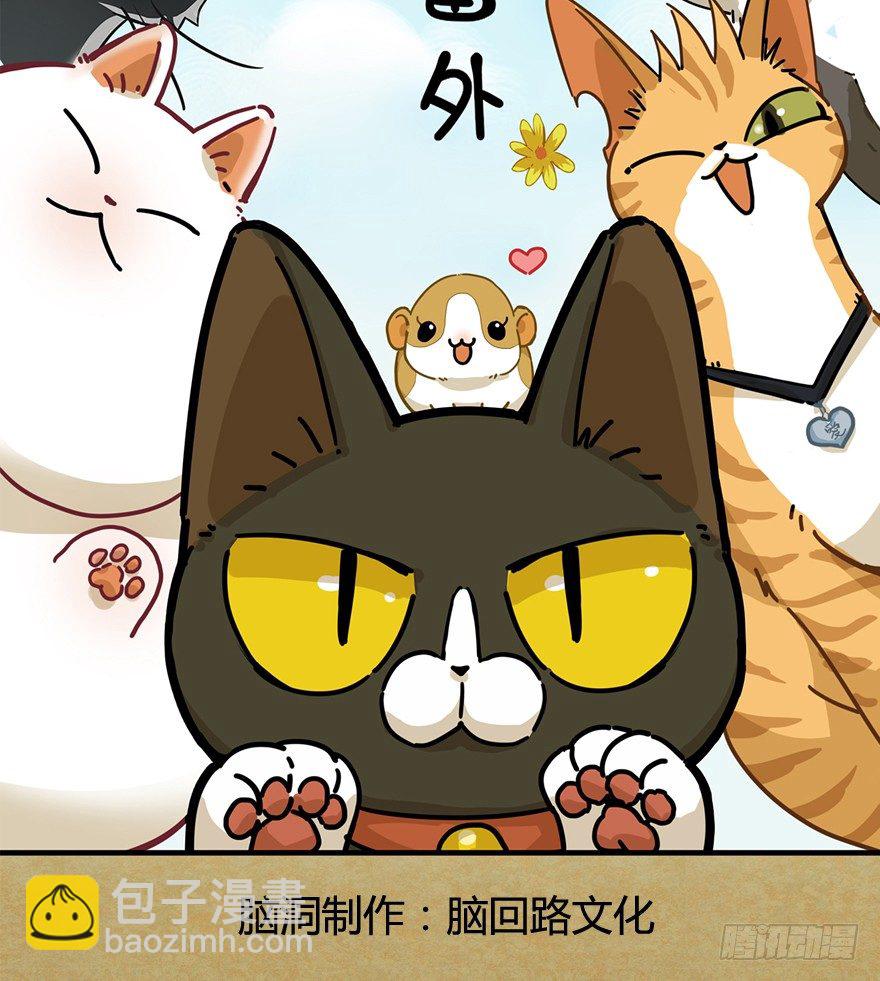 《回到过去变成猫外传》第77爪 熟悉的身影（上） 第2页