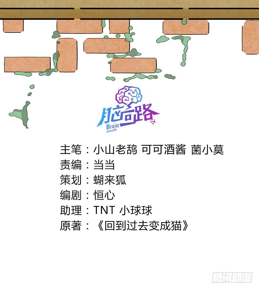《回到过去变成猫外传》第77爪 熟悉的身影（上） 第3页