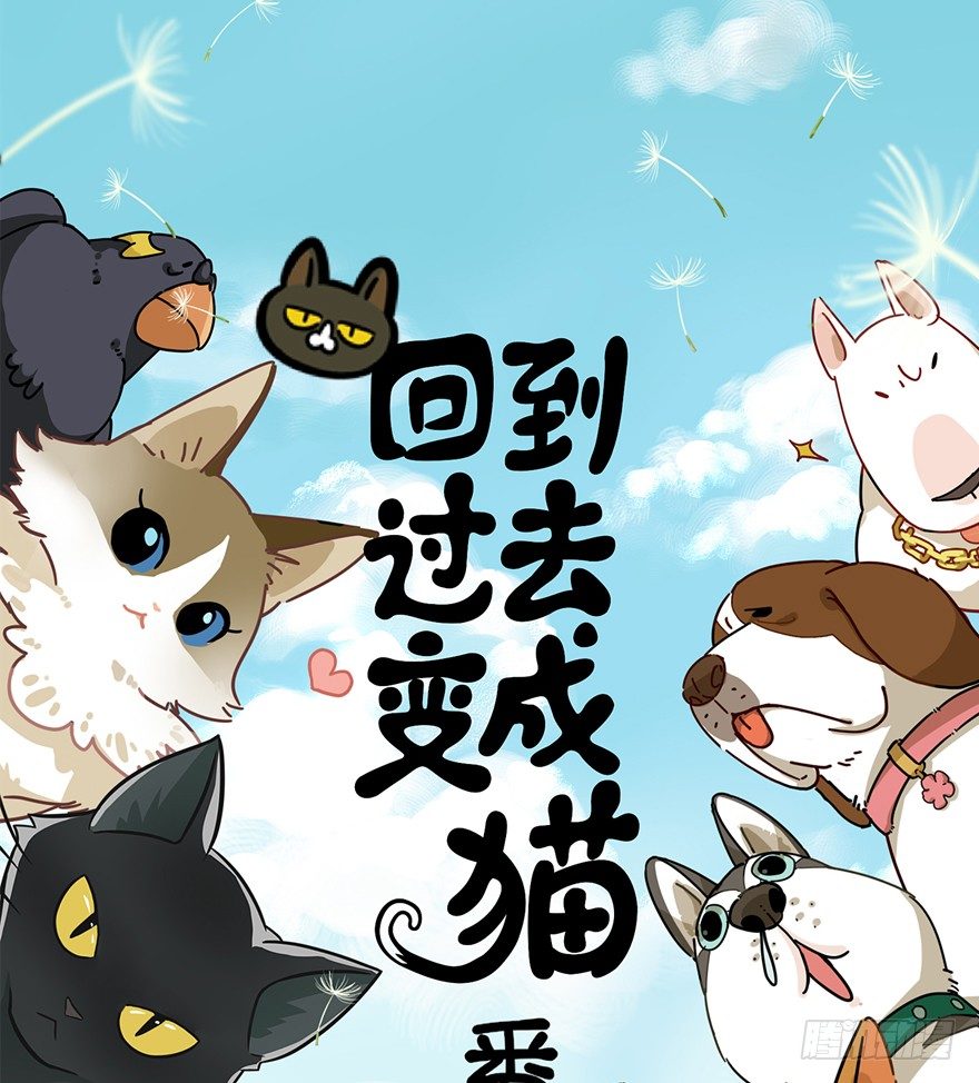 《回到过去变成猫外传》第78爪 熟悉的身影（下） 第1页
