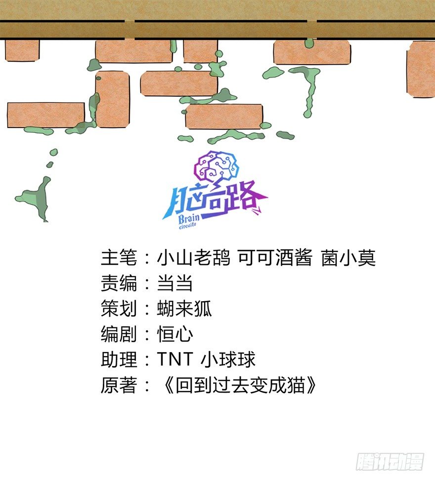 《回到过去变成猫外传》第78爪 熟悉的身影（下） 第3页