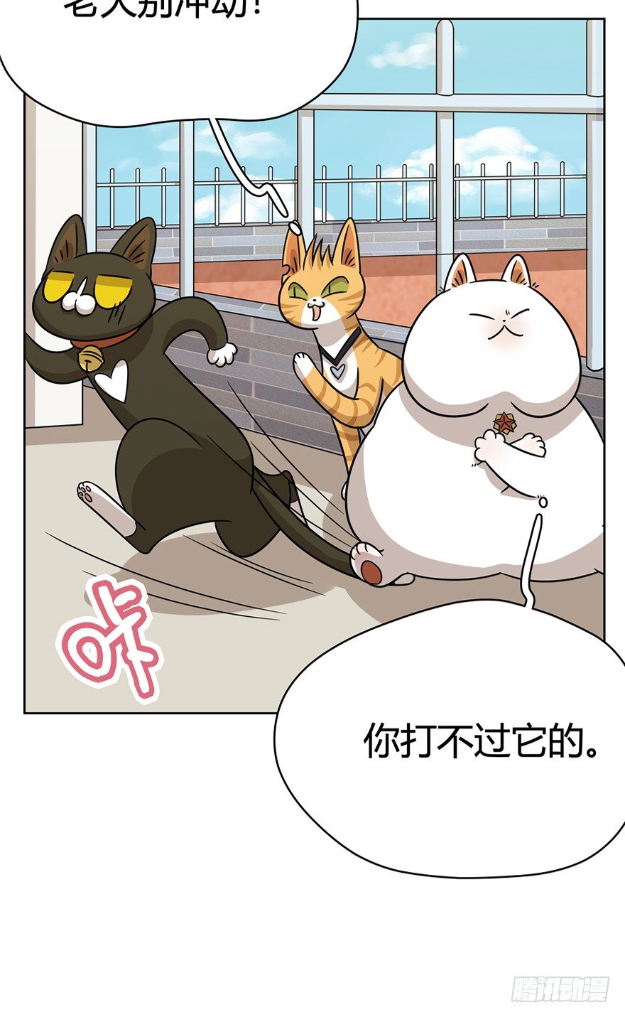 《回到过去变成猫外传》第81爪 “拖油瓶”黑呦呦（下） 第10页