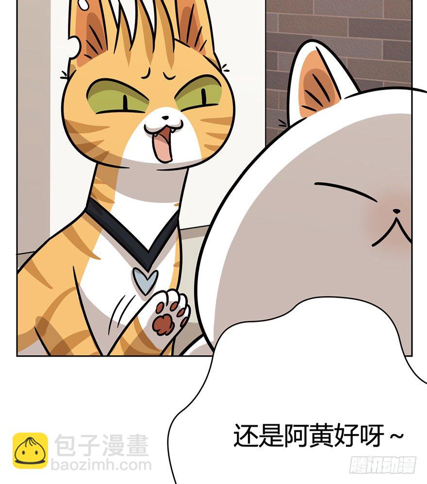 《回到过去变成猫外传》第81爪 “拖油瓶”黑呦呦（下） 第12页