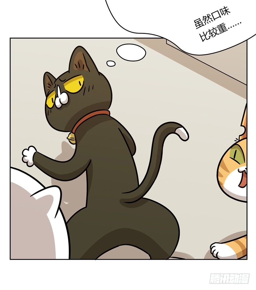 《回到过去变成猫外传》第81爪 “拖油瓶”黑呦呦（下） 第13页