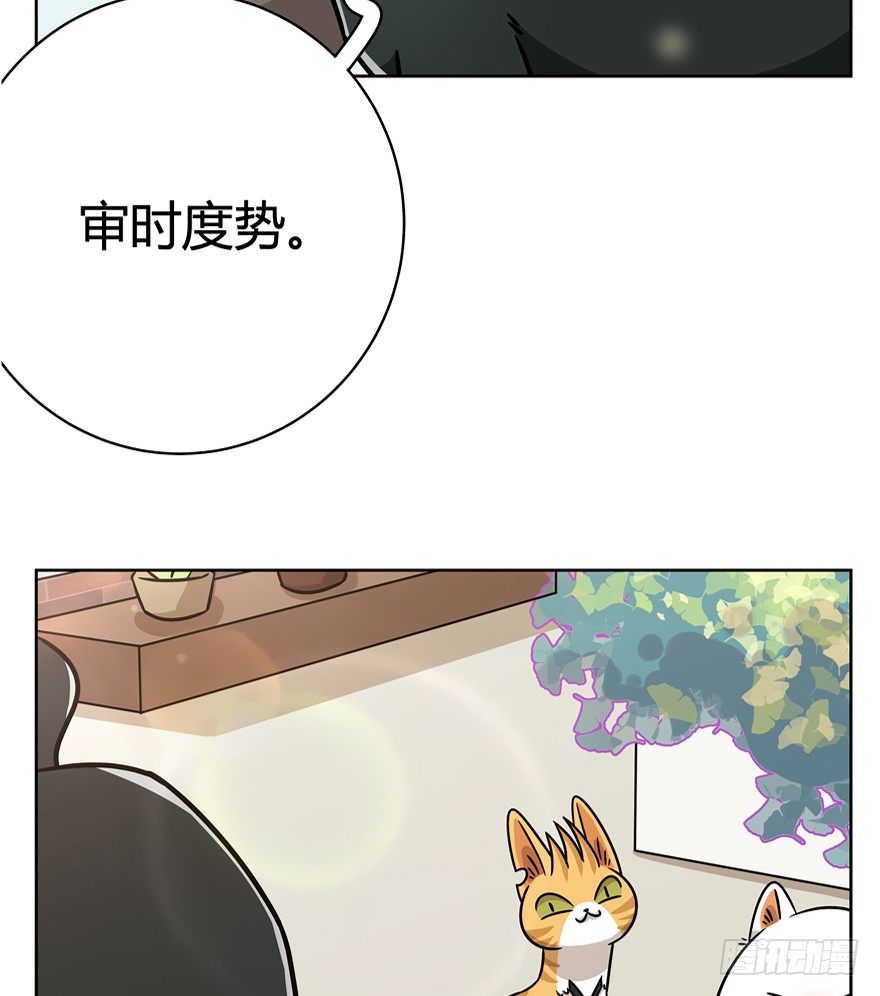 《回到过去变成猫外传》第81爪 “拖油瓶”黑呦呦（下） 第20页