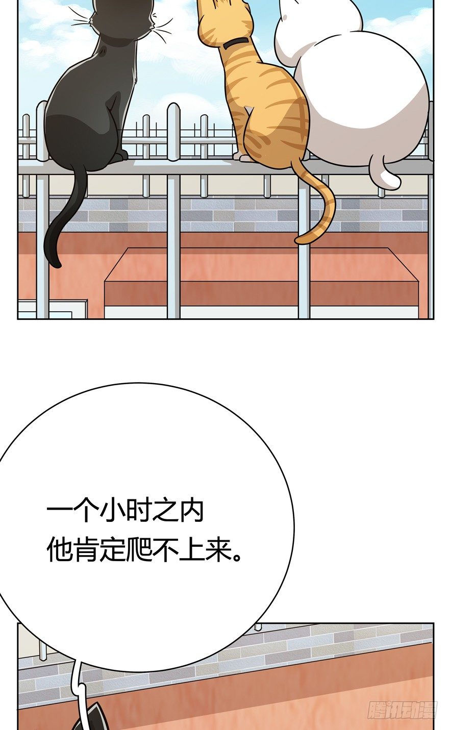 《回到过去变成猫外传》第81爪 “拖油瓶”黑呦呦（下） 第4页
