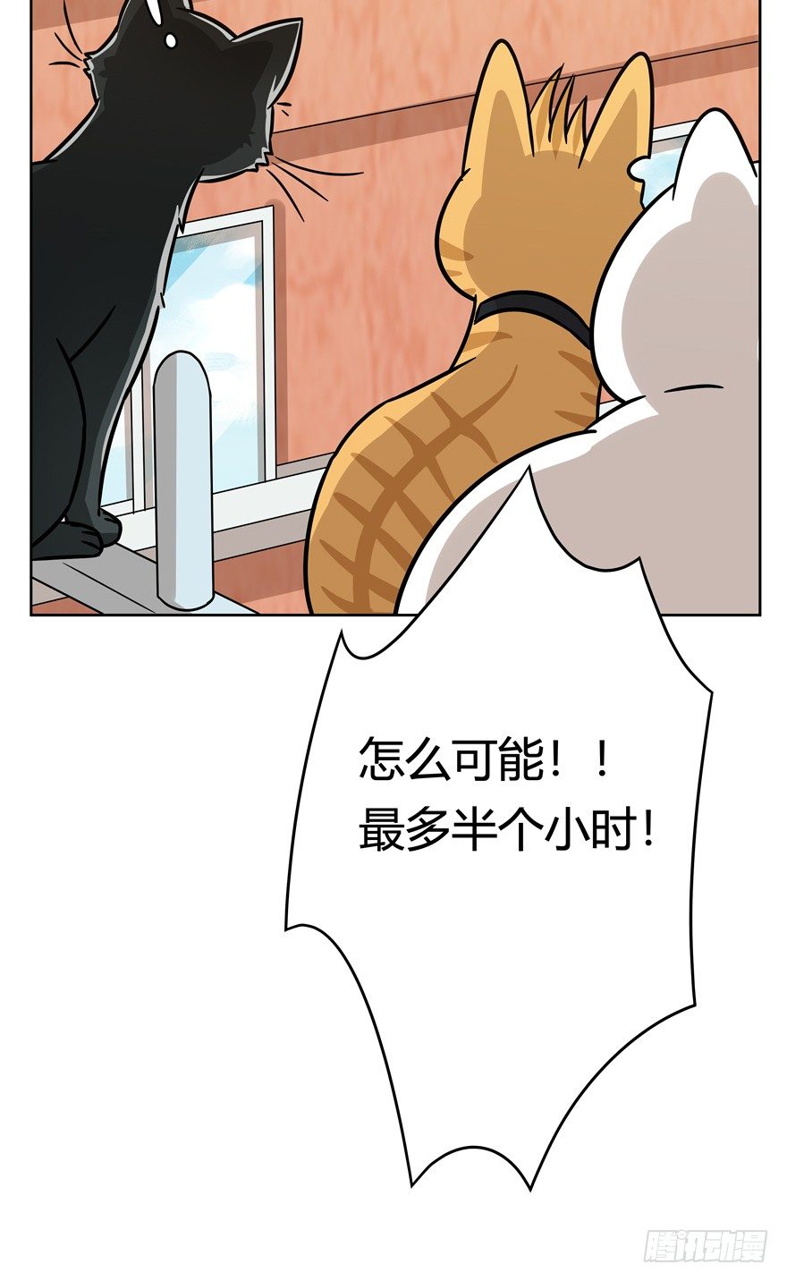 《回到过去变成猫外传》第81爪 “拖油瓶”黑呦呦（下） 第5页
