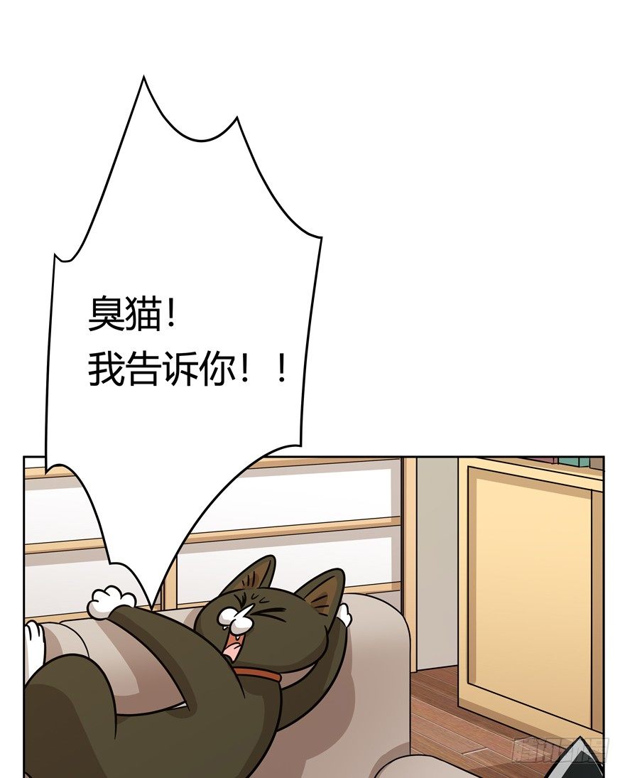 《回到过去变成猫外传》第80爪 “拖油瓶”黑呦呦（上） 第10页