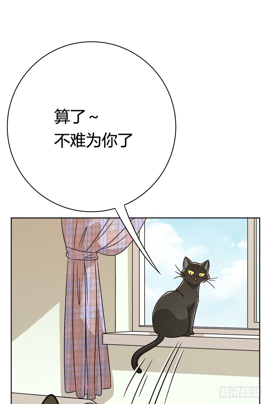 《回到过去变成猫外传》第80爪 “拖油瓶”黑呦呦（上） 第16页