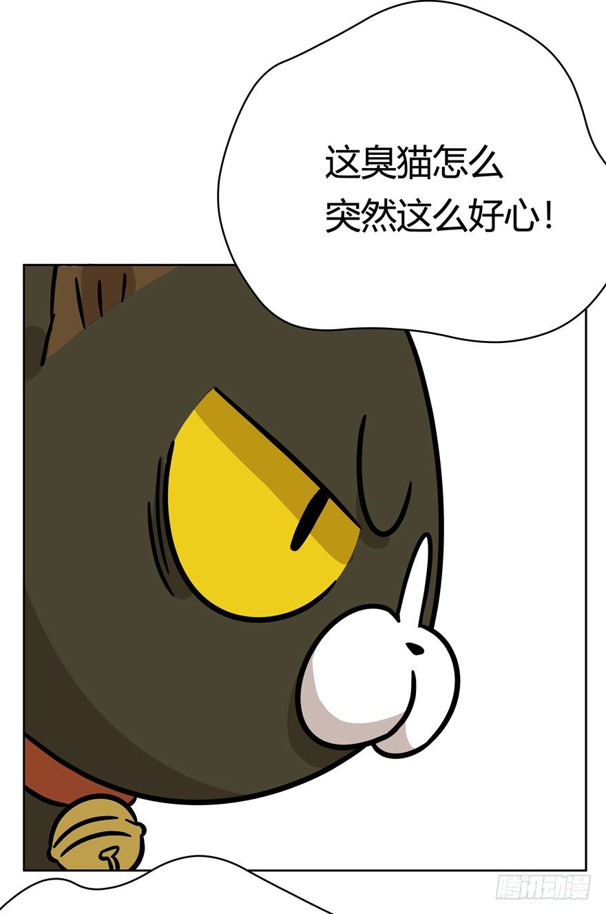 《回到过去变成猫外传》第80爪 “拖油瓶”黑呦呦（上） 第18页