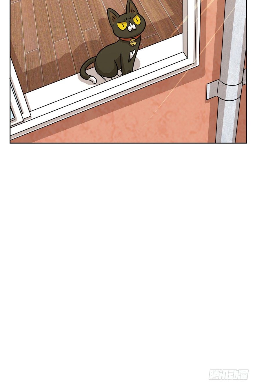 《回到过去变成猫外传》第80爪 “拖油瓶”黑呦呦（上） 第20页